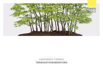 Corporate Finance - Transaktionsberatung