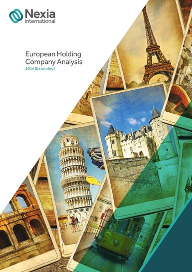 Nexia European Holding Company Analysis 2016 (Extended)
