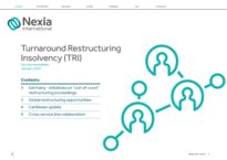 Nexia International Turnaround Restructuring Insolvency January 2019